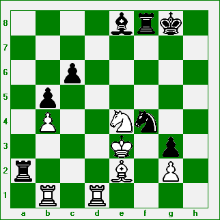 long2.gif (7223 bytes)