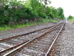 2009_05_29 Mason Michigan railroad tracks split