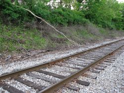 2009_05_29 Mason Michigan broken tree limb on the tracks