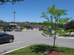 2010_05_19 Mason Michigan