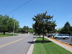 2010_06_09 Mason Michigan