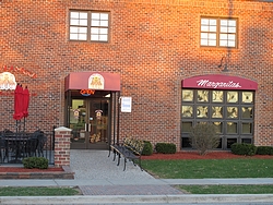 2011_04_12 Mason Michigan