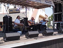 Stringtown Trio, 2012 Mason Sun Dried Music Fest, Mason, Michigan, 25 August 2012