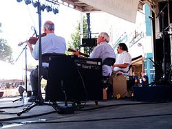Stringtown Trio, 2012 Mason Sun Dried Music Fest, Mason, Michigan, 25 August 2012