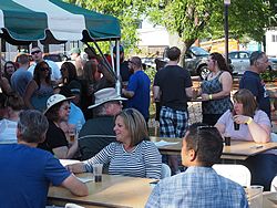 Bad Brewing Summer Block Party, Mason, Michigan, 6 June 2015<BR> Olympus OM-D E-M1 with Olympus 12-40/2.8 lens