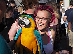 Bad Brewing Summer Block Party, Mason, Michigan, 6 June 2015<BR> Olympus OM-D E-M1 with Olympus 12-40/2.8 lens