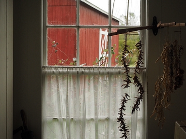 Scott Kelby Photowalk at the Meridian Historical Village, 3 October 2015, Olympus OM-D E-M1 with Olympus PRO 12-40/2.8 lens