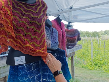 Summer Wine & Wool Festival, Sandhill Crane Vineyards, Leoni, Michigan, 29 July 2017, Olympus OM-D E-M1 with Olympus 12-40/2.8 lens